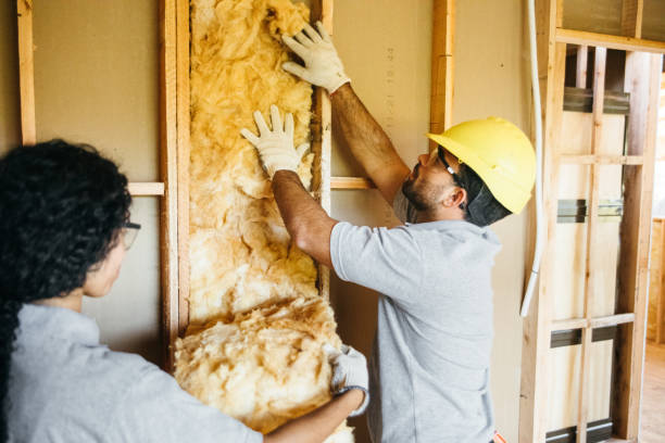 Best Insulation Contractor Near Me  in North Bay Shore, NY
